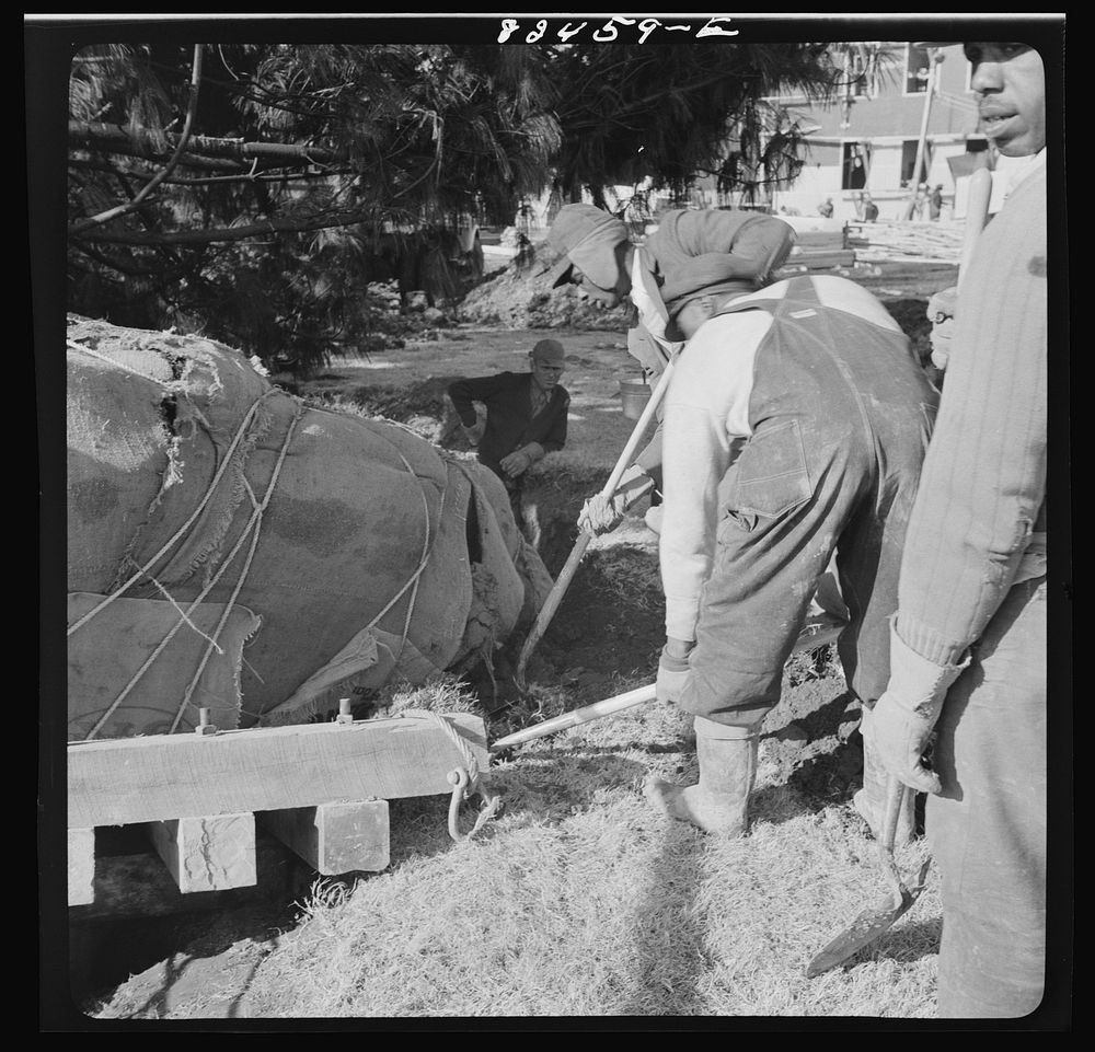 [Untitled photo, possibly related to: Washington, D.C. Transplanting a tree on an emergency office space construction job].…