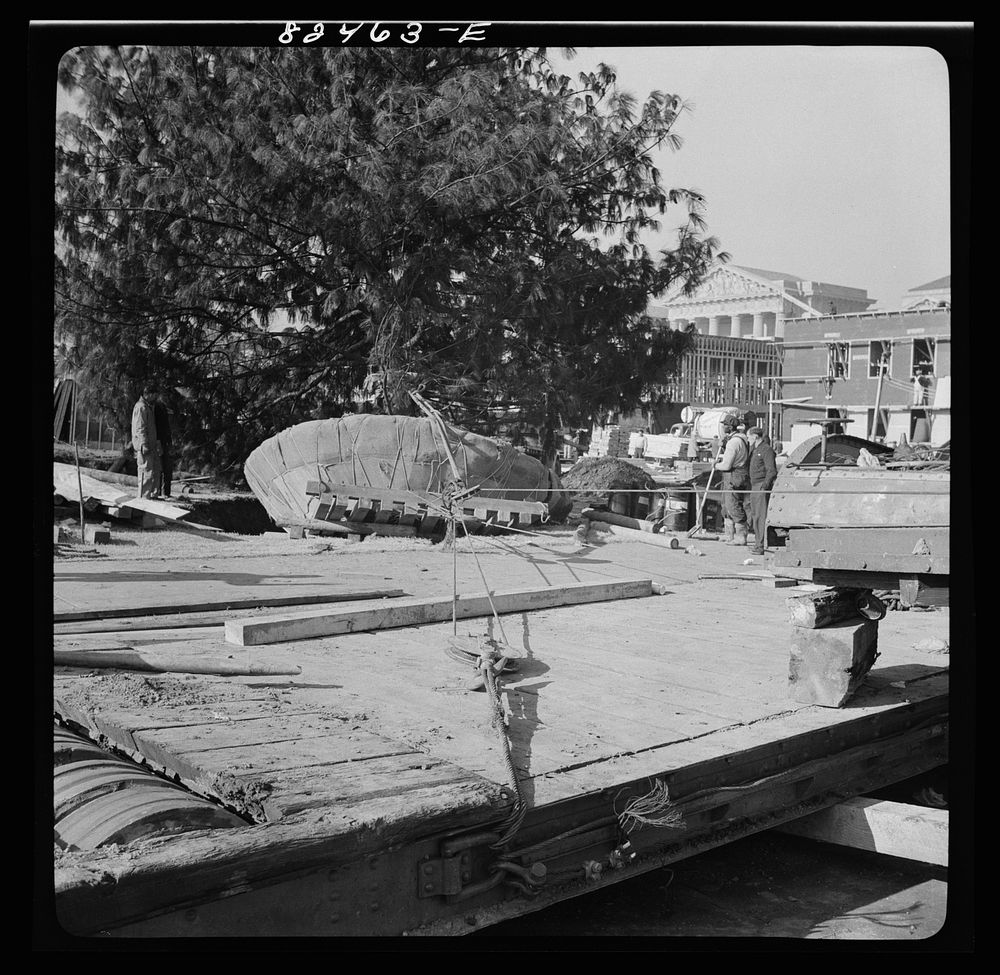 Washington, D.C. Transplanting a tree on an emergency office space construction job. Sourced from the Library of Congress.