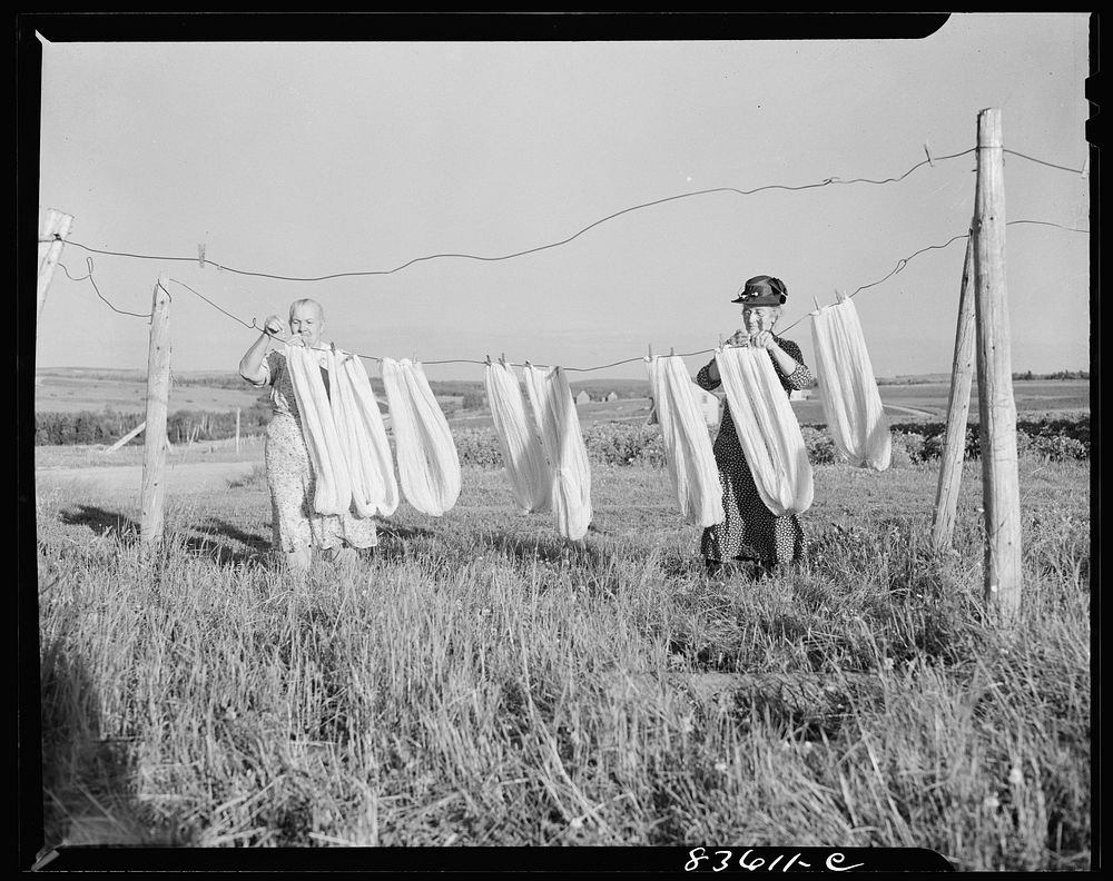 Aroostook County, Maine. Airing wool before spinning. Sourced from the Library of Congress.