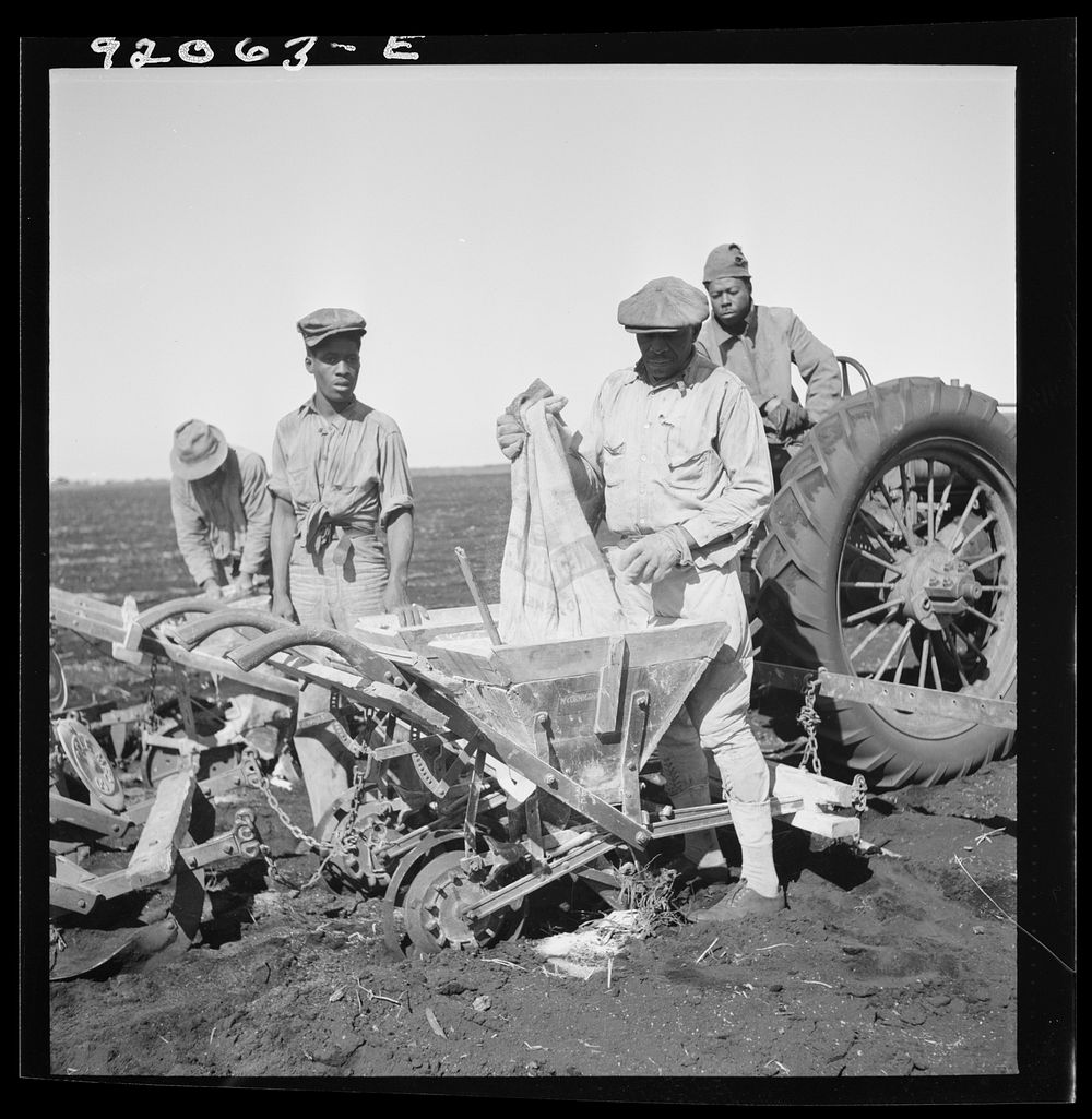 [Untitled photo, possibly related to: Dumping bag of fertilizer into combination bean planter and fertilizer machine used on…