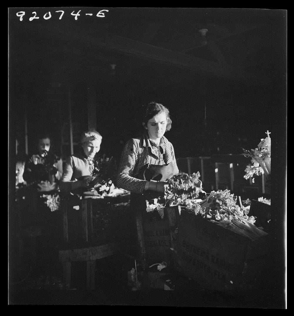 [Untitled photo, possibly related to Free Photo rawpixel