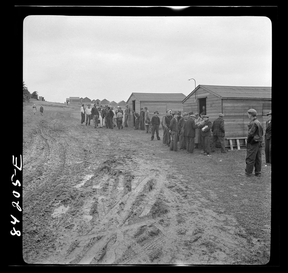 [Untitled photo, possibly related to: Batavia, New York. Elba FSA (Farm Security Administration) farm labor camp. Migrant…
