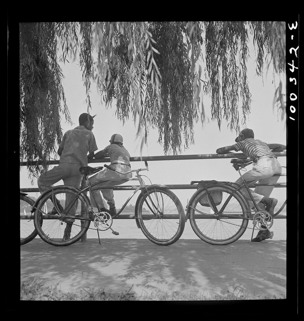 Washington, D.C. Sunday cyclists watching sailboats at Haines Point [i.e. Hains Point]. Sourced from the Library of Congress.