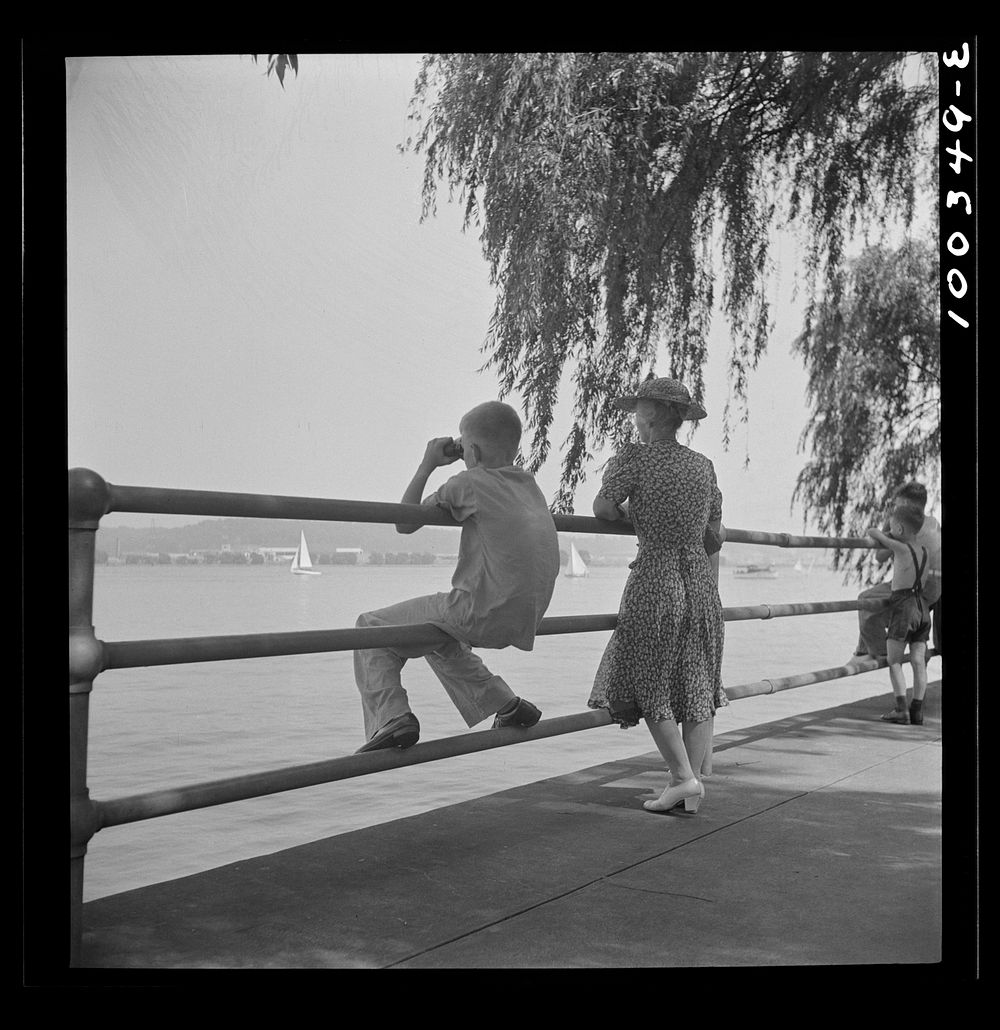 [Untitled photo, possibly related to: Washington, D.C. Old and young watching sailboats at Haines Point [i.e. Hains Point]].…