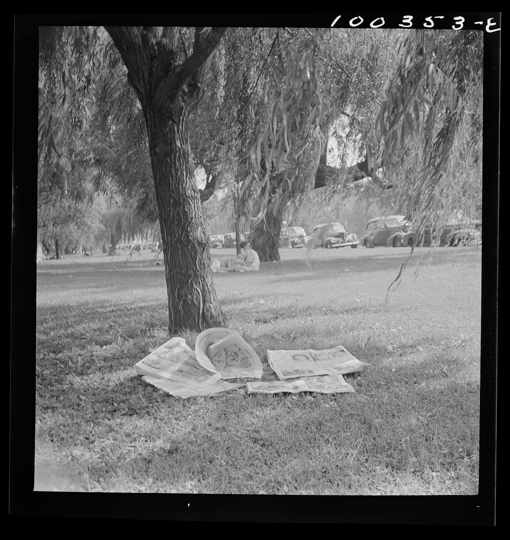 Washington, D.C. Discarded Sunday paper, left behind by departing Sunday loungers at Haines Point [i.e Hains Point]. Sourced…