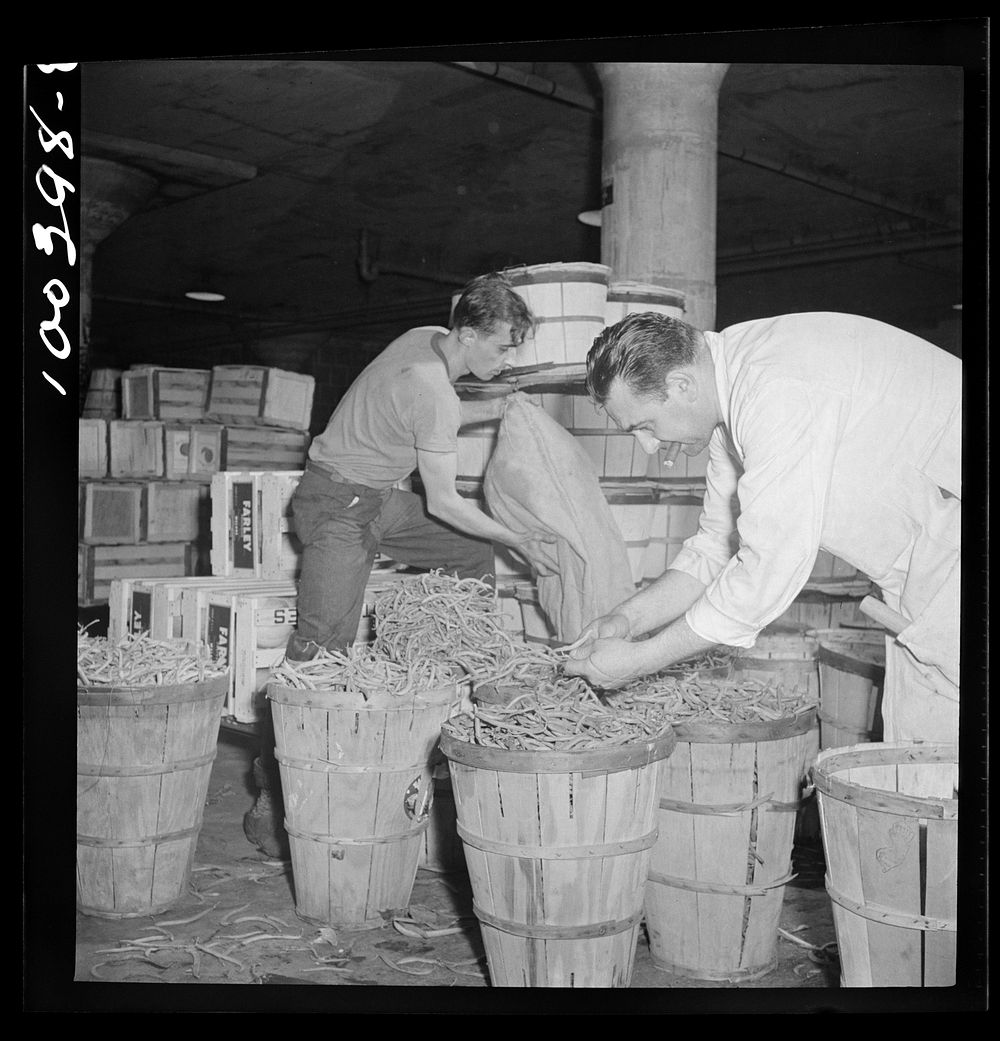 Washington, D.C. District grocery store warehouse on 4th Street S.W. Produce department. Assistant department head checking…