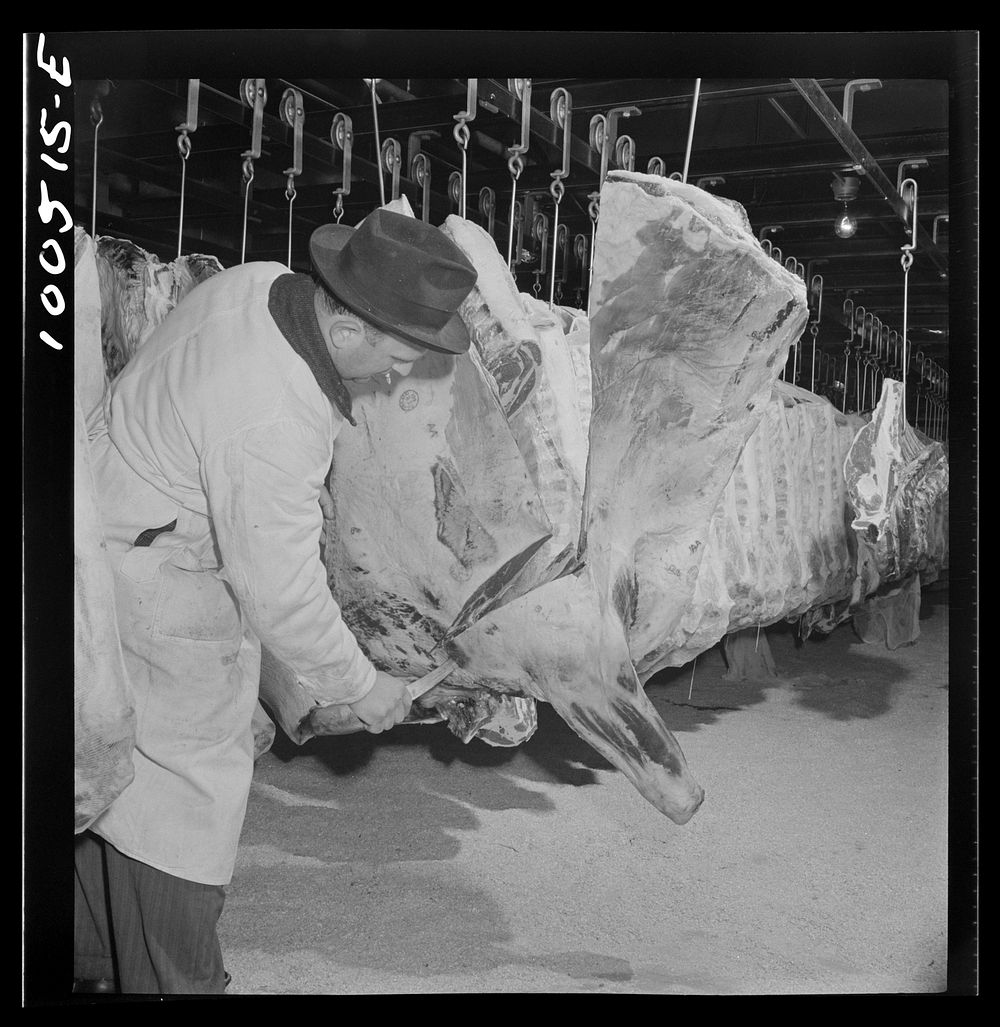 Washington, D.C. Quartering beef in the District grocery store warehouse cold room. Sourced from the Library of Congress.