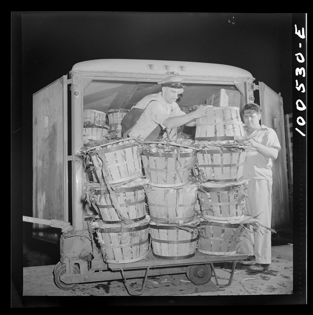 Washington, D.C. Unloading corn at the District grocery store warehouse. Sourced from the Library of Congress.