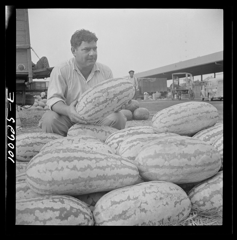 Washington, D.C. Watermelon vendor at the farmers' market. Sourced from the Library of Congress.