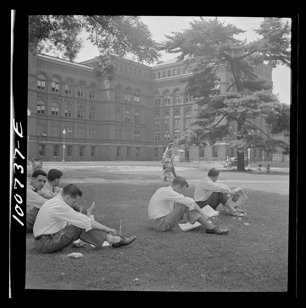 [Untitled photo, possibly related to: Washington, D.C. Government workers lunching and resting in Washington Monument park…