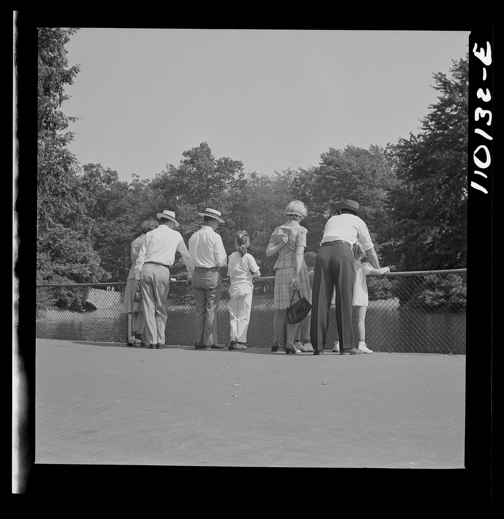 [Untitled photo, possibly related to: Detroit, Michigan. Spectators at zoological park]. Sourced from the Library of…