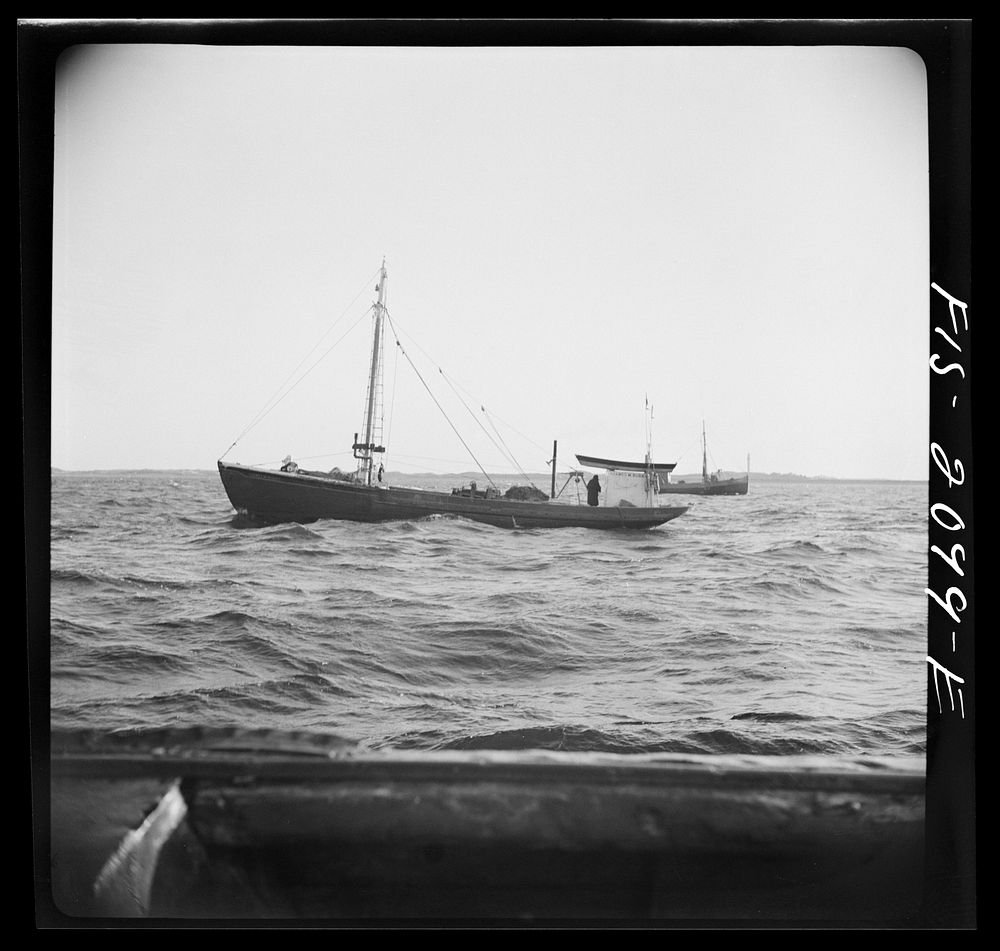 [Untitled photo, possibly related to: Provincetown, Massachusetts. Aboard the Francis and Marion, a Portuguese drag trawler…