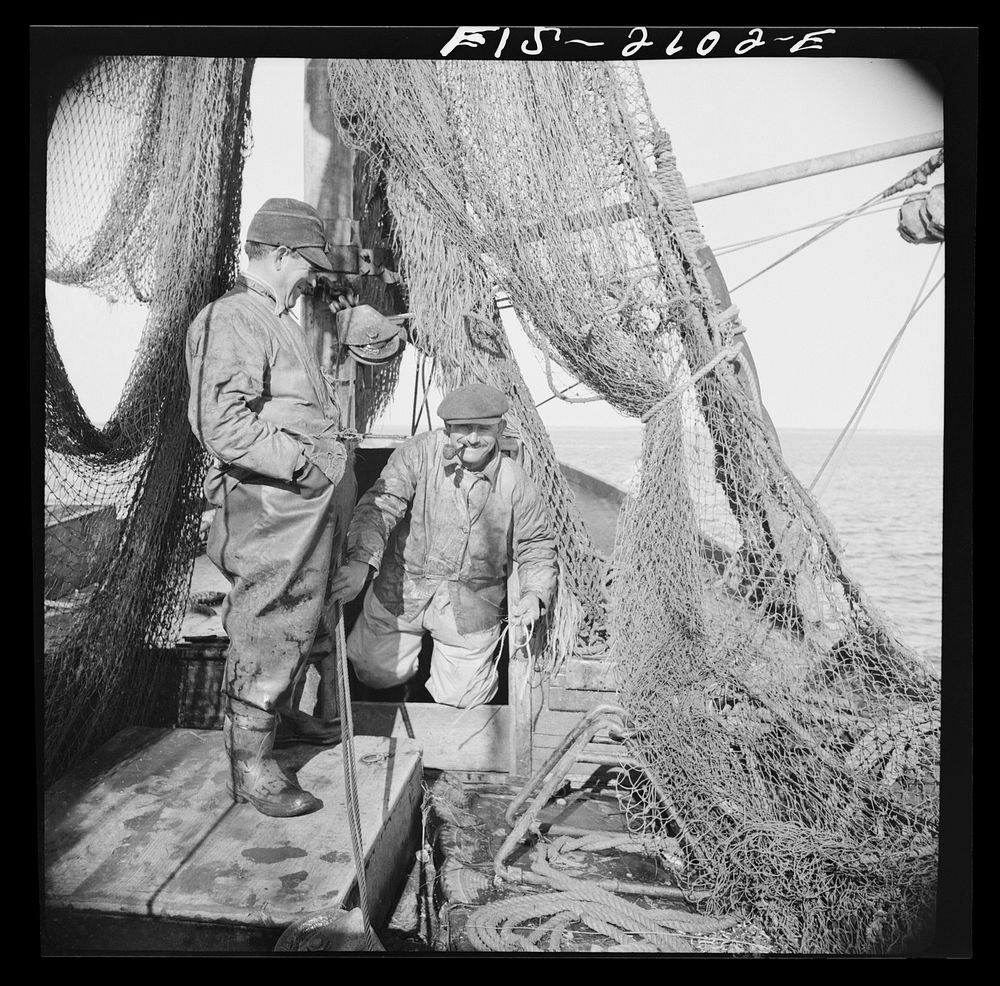 Provincetown, Massachusetts. Aboard the Frances and Marion, a Portuguese drag trawler, fishing off Cape Cod. Homeward bound…