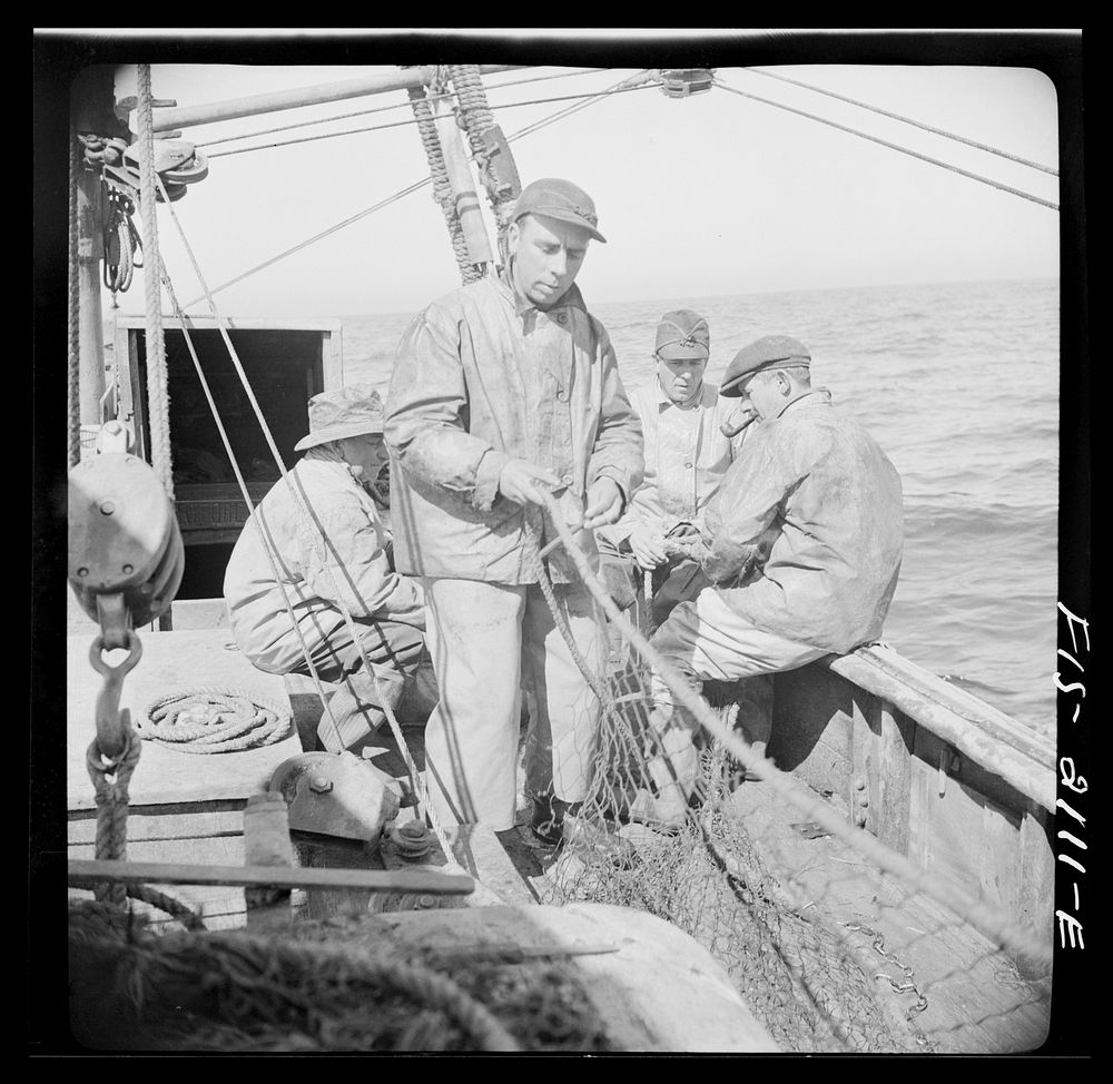 Provincetown, Massachusetts. Aboard the Frances and Marion, a Portuguese drag trawler, fishing off Cape Cod. The trawls are…