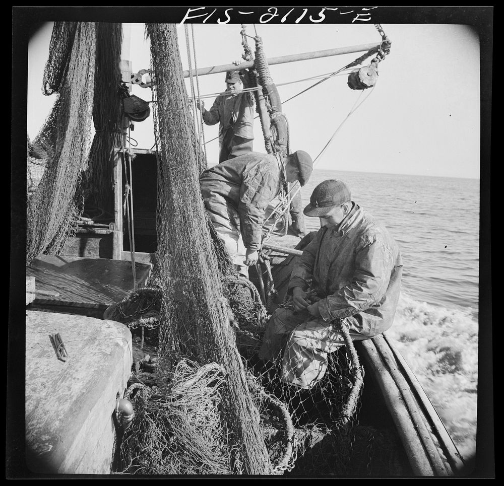 Provincetown, Massachusetts. The trawl is constantly under repair, and while one net is down, a second is being mended by…