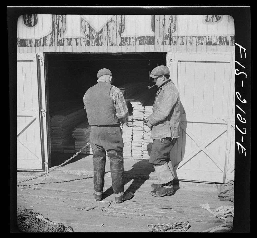 [Untitled photo, possibly related to: Provincetown, Massachusetts. Dockside]. Sourced from the Library of Congress.