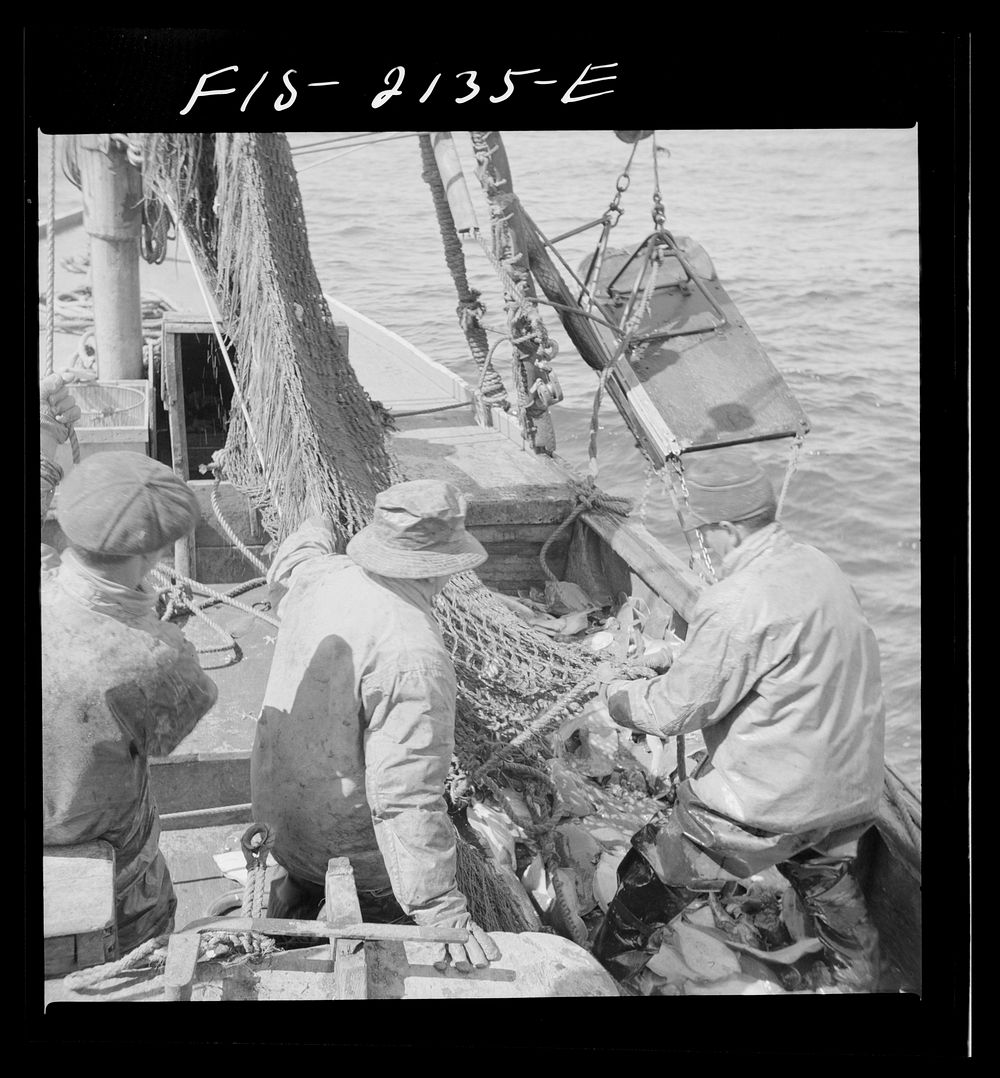 Provincetown, Massachusetts. Aboard the Frances and Marion, a Portuguese drag trawler, fishing off Cape Cod. The trawl…