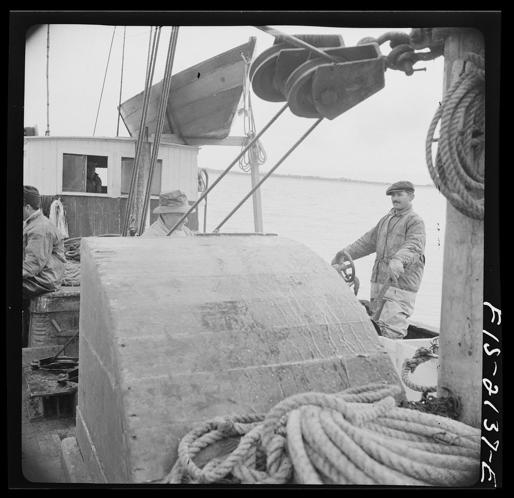 [Untitled photo, possibly related to: Provincetown, Massachusetts. Aboard the Frances and Marion, a Portuguese drag trawler…