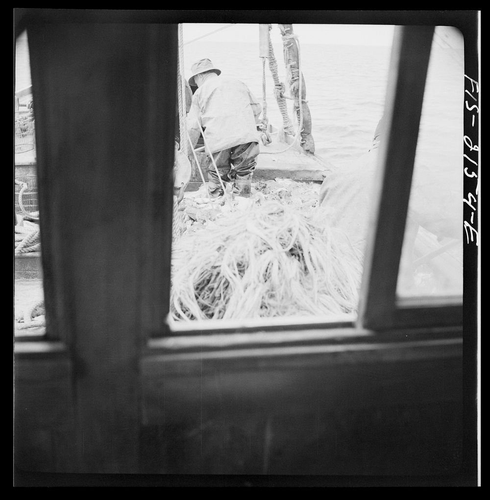 [Untitled photo, possibly related to: Harvest of a trawl aboard a Portuguese drag boat off Cape Cod, Massachusetts]. Sourced…