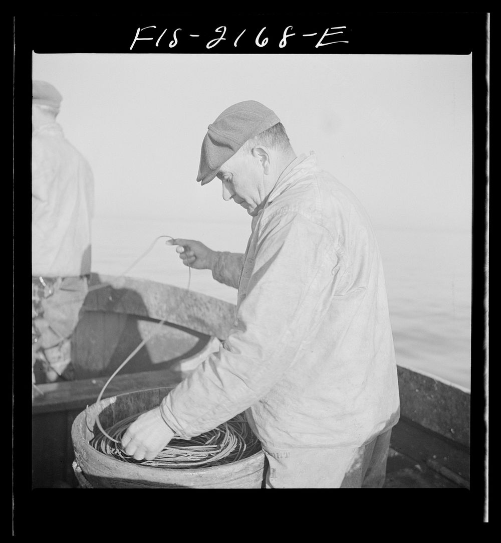 [Untitled photo, possibly related to: Hauling in the trawl aboard a Portuguese fishing dory off Cape Cod, Massachusetts].…
