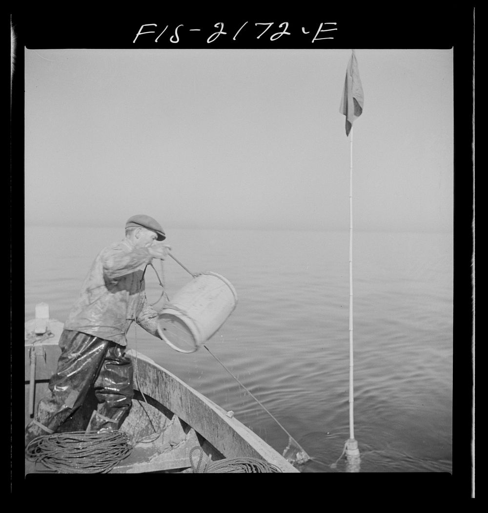 Throwing overboard barrel float which supports trawl off Cape Cod, Massachusetts. Sourced from the Library of Congress.