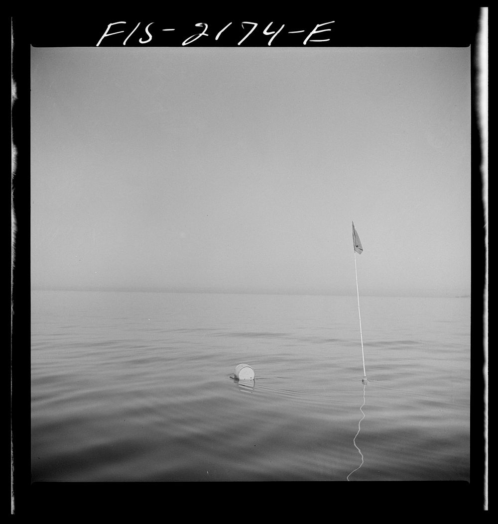 Float and trawl marker on the cod banks off Cape Cod, Massachusetts. Sourced from the Library of Congress.