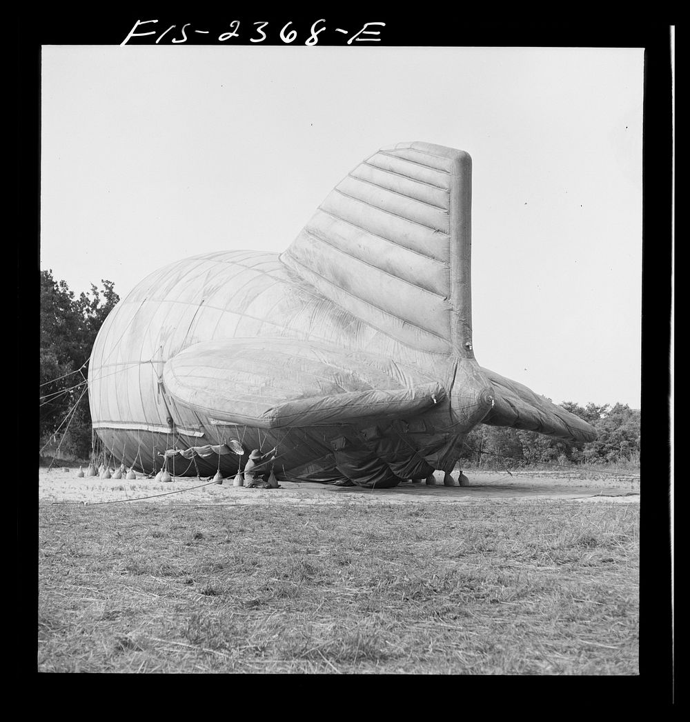 Parris Island, South Carolina. Special United States Marine units in training bedding down a big barrage balloon. Sourced…
