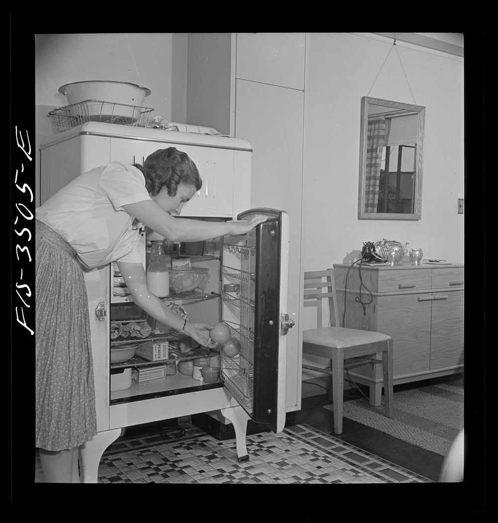 Greenbelt, Maryland. Federal housing project. Mrs. Leslie Atkins taking an orange out of her well-stocked refrigerator.…