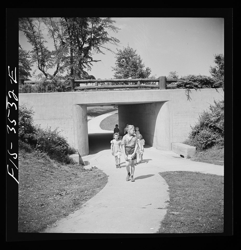 [Untitled photo, possibly related to: Greenbelt, Maryland. Federal housing project. Most street crossings are eliminated by…