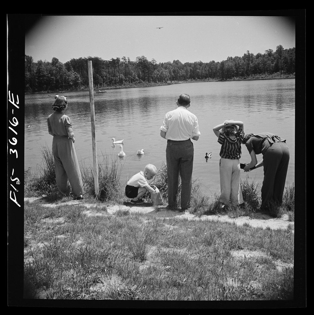 Greenbelt, Maryland. Mother photographing her son feeding ducks by the artificial lake while the rest of the family looks…