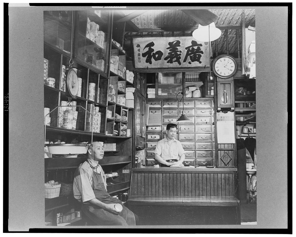 New York, New York. Chinese grocery store in Chinatown. Sourced from the Library of Congress.