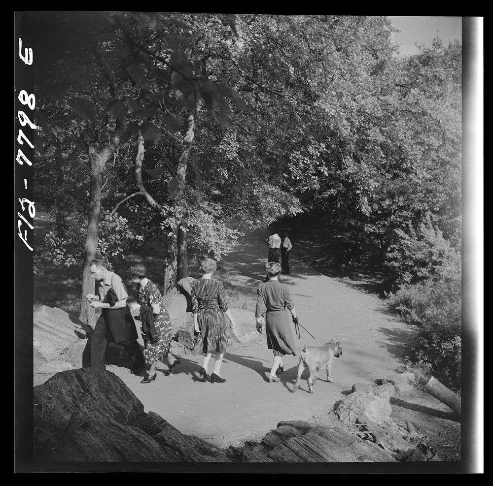 New York, New York. Path in Central Park ramble on Sunday. Sourced from the Library of Congress.