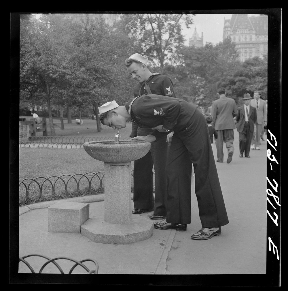 New York, New York. Drinking fountain in Central Park. Sourced from the Library of Congress.