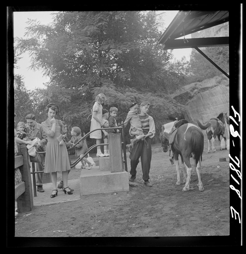 New York, New York. Children lined up for their turn at pony rides in Central Park on Sunday. Sourced from the Library of…