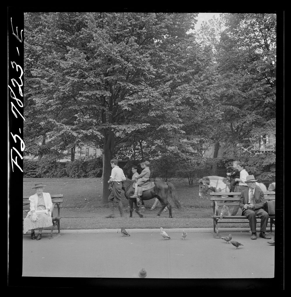 New York, New York. Pony riding in Central Park on Sunday. Sourced from the Library of Congress.