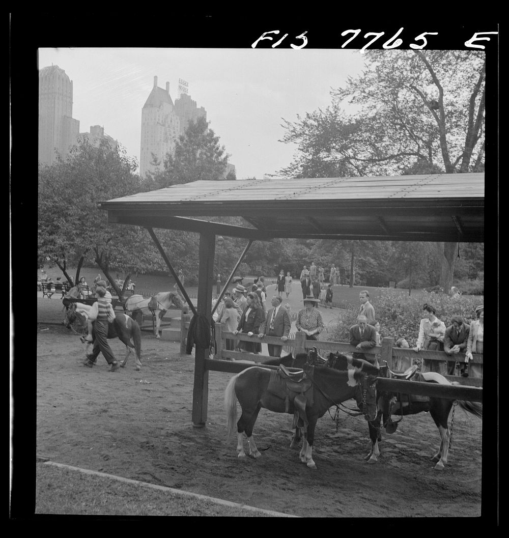 [Untitled photo, possibly related to: New York, New York. Pony riding in Central Park]. Sourced from the Library of Congress.
