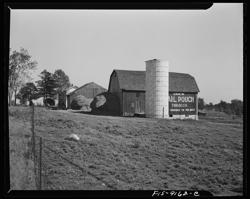 Inkster, Michigan. (vicinity). Typical Michigan farm. Sourced from the Library of Congress.