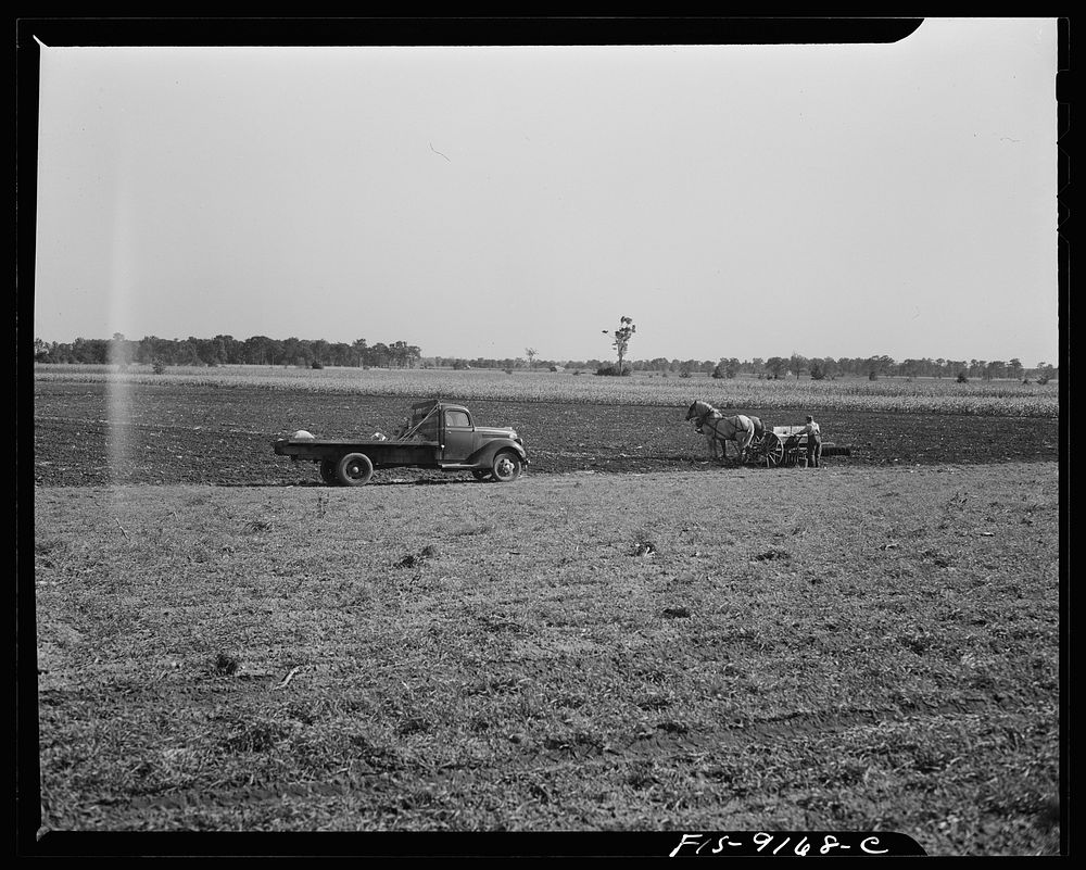 Inkster (vicinity?), Michigan. Farmer using a cultivator on a farm. Typical farm truck. Sourced from the Library of Congress.