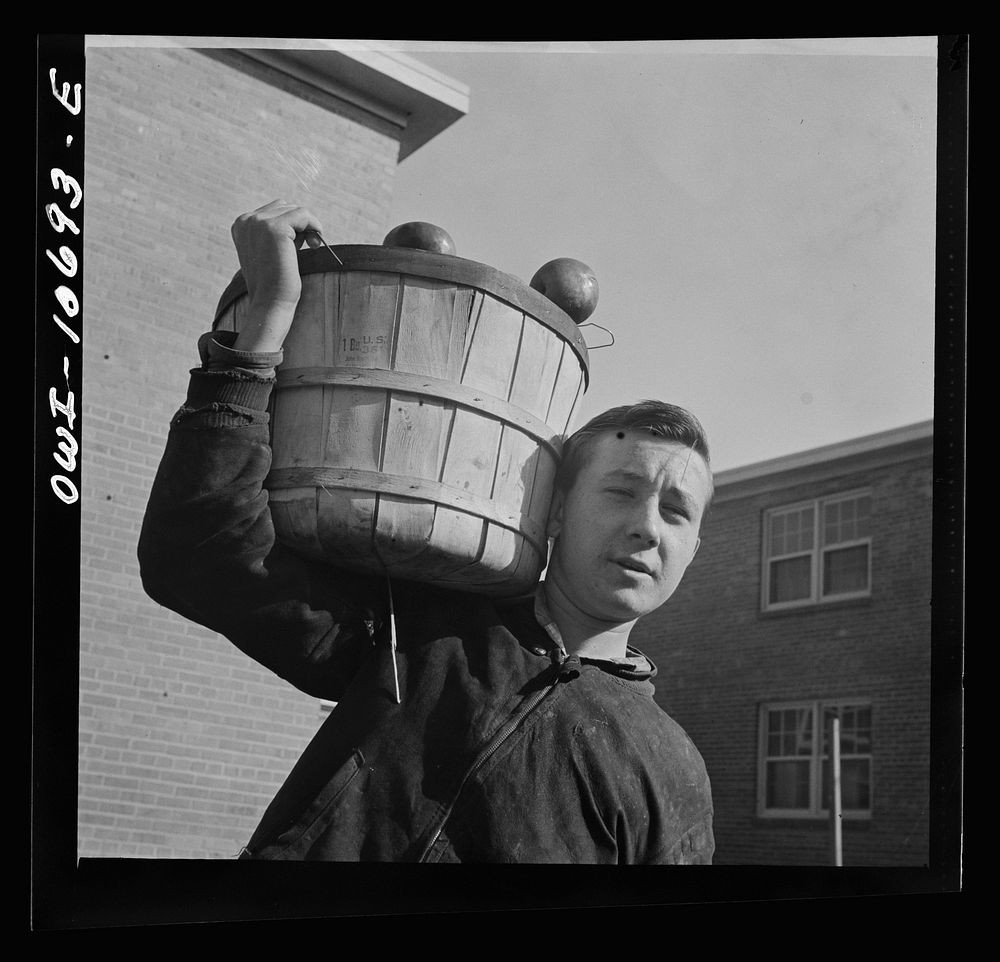 Washington, D.C. Young huckster in the Southwest section. Sourced from the Library of Congress.