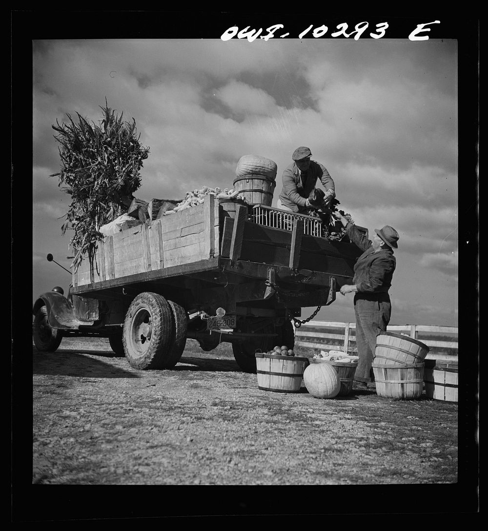 Montgomery County, Maryland. Farmers sharing a truck on market day. Sourced from the Library of Congress.
