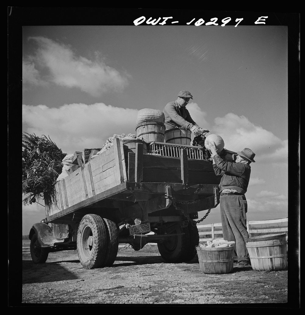 Montgomery County, Maryland. Farmers sharing a truck on market day. Sourced from the Library of Congress.