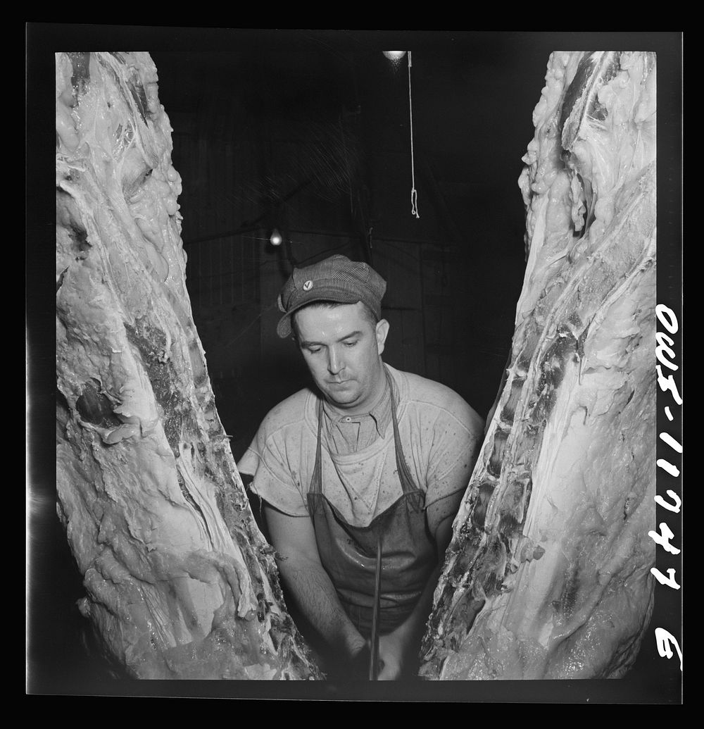 Lititz, Pennsylvania. Henry Lutz, thirty, has been deferred so that he can continue to help in his father's butcher business…