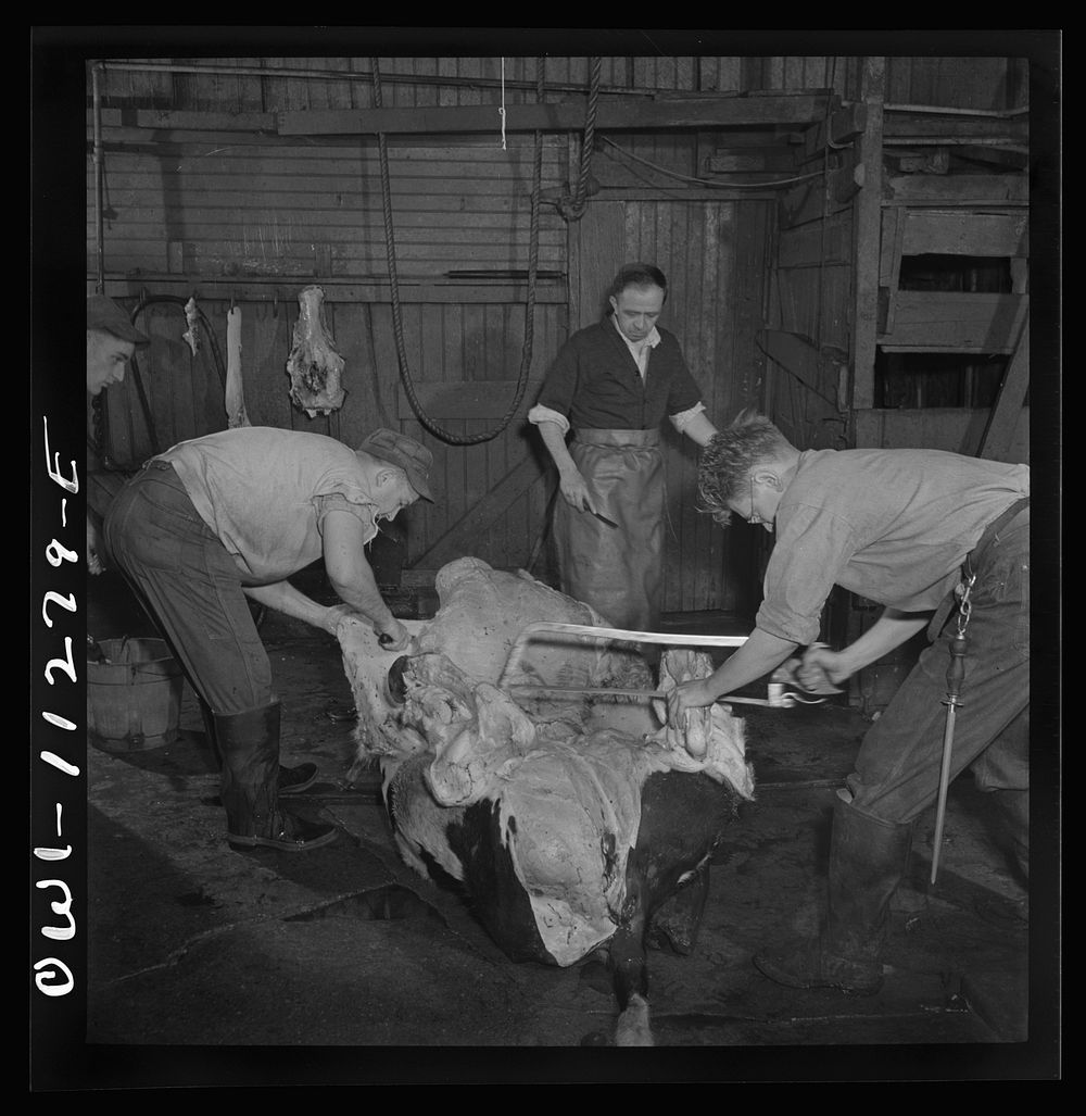 Lititz, Pennsylvania. Butchering a steer in Lutz's slaughterhouse. Sourced from the Library of Congress.