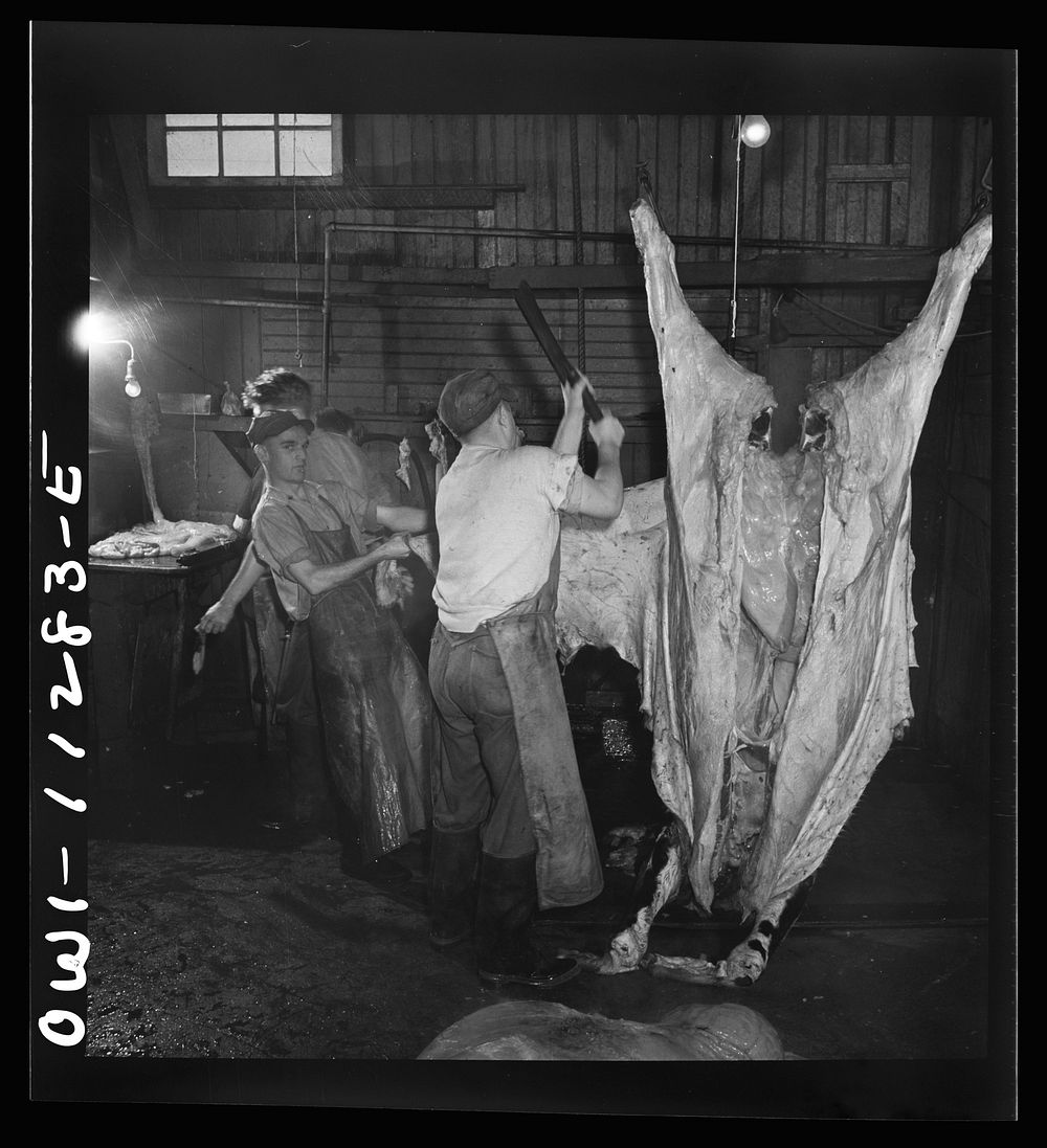 [Untitled photo, possibly related to: Lititz, Pennsylvania. Hoisting a slaughtered steer in Benjamin Lutz's slaughterhouse].…