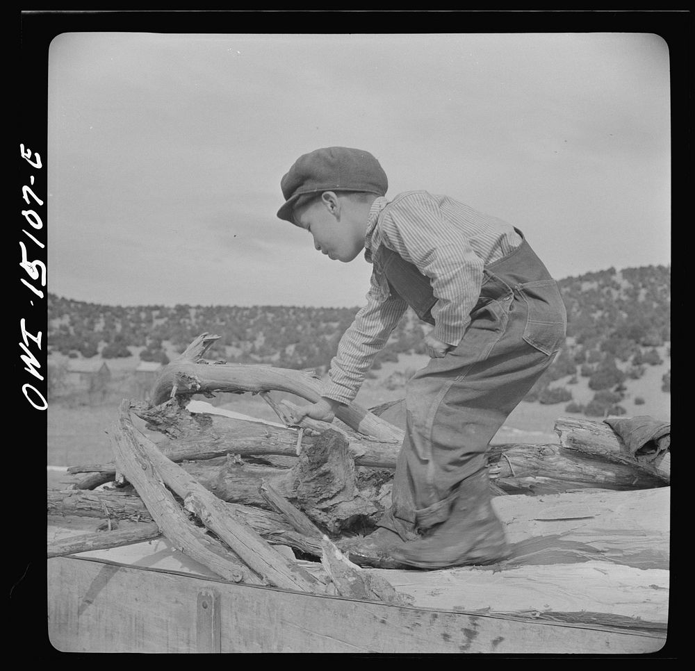 Trampas, New Mexico. Patricio Lopez helping to unload wood for his father, Juan Lopez, the majordomo (mayor). Sourced from…