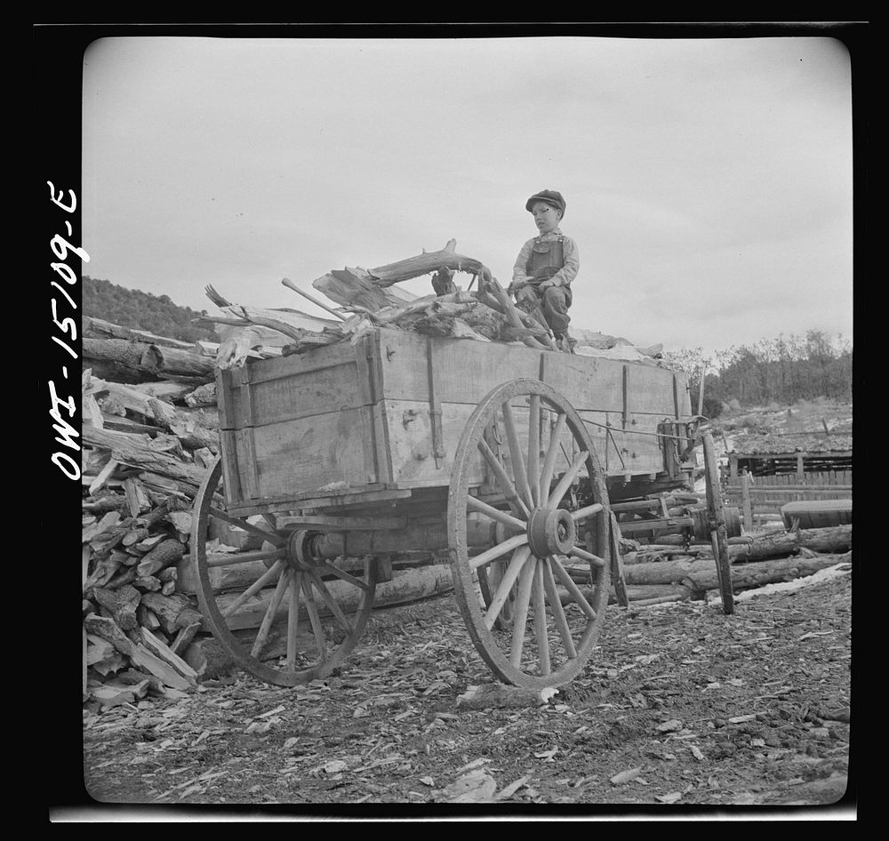 Trampas, New Mexico. Patricio Lopez helping to unload wood for his father, Juan Lopez, the majordomo (mayor). Sourced from…