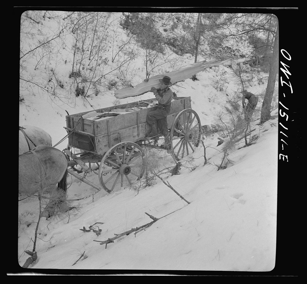 Trampas, New Mexico. Juan Lopez, the majordomo (mayor), and his son loading wood which they have split into the wagon.…