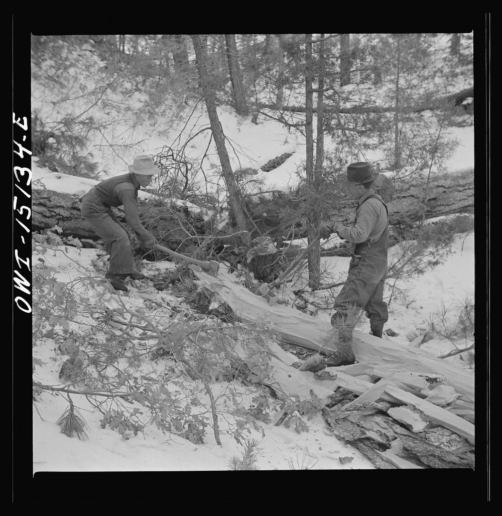 [Untitled photo, possibly related to: Trampas, New Mexico. The United States Forest service marked this dead tree. Juan…