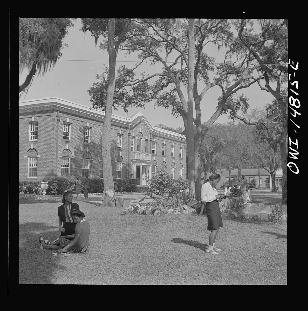 Daytona Beach, Florida. BethuneCookman College. Free Photo rawpixel