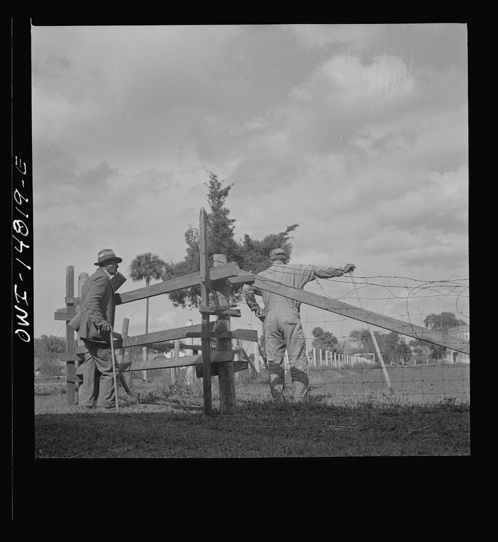 Daytona Beach, Florida. Bethune-Cookman College. Mr. Silas Green, a neighbor stopping to visit with one of the farm hands on…